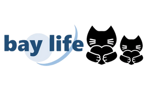 株式会社bay lifeのロゴ